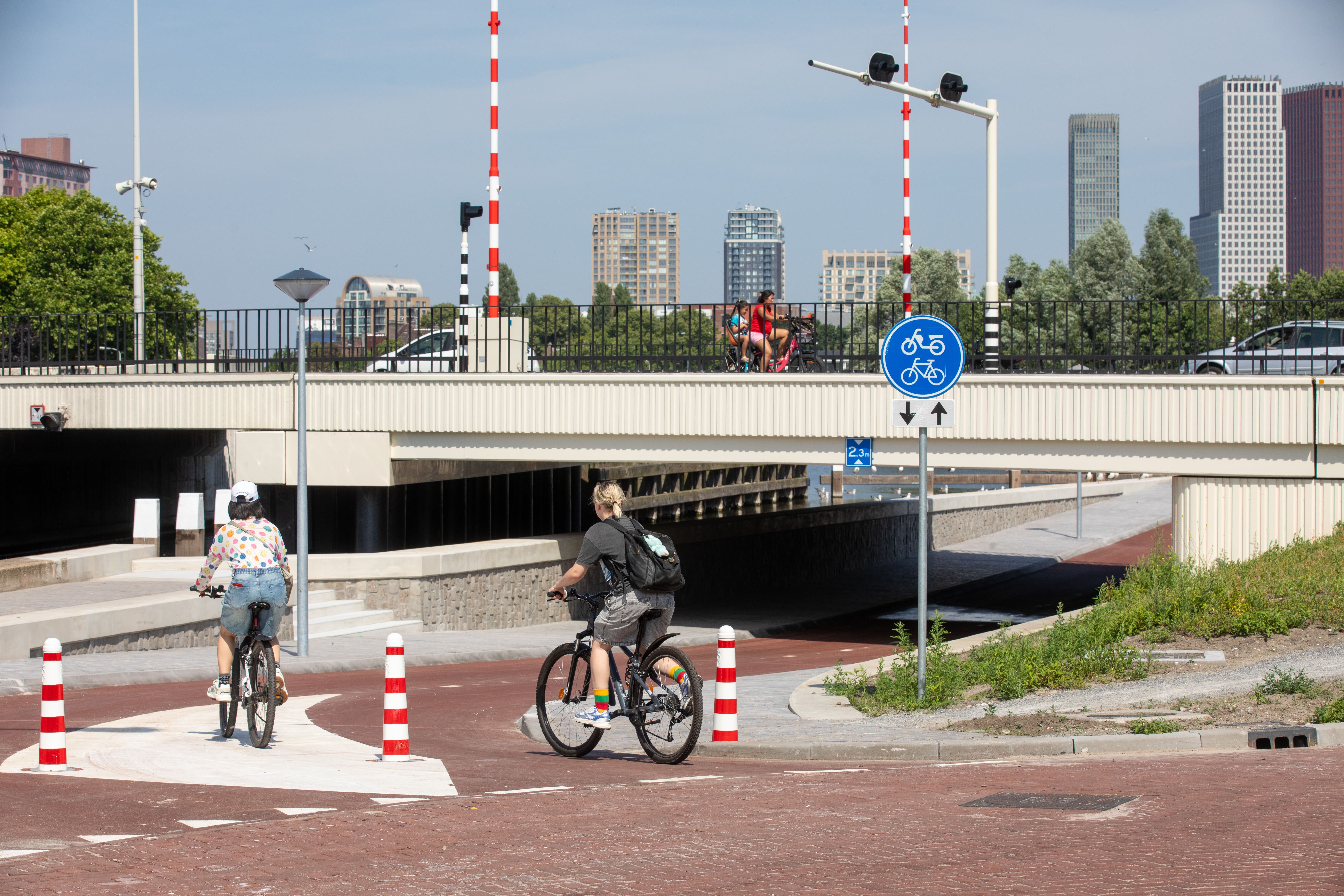 Trekvlietbrug 